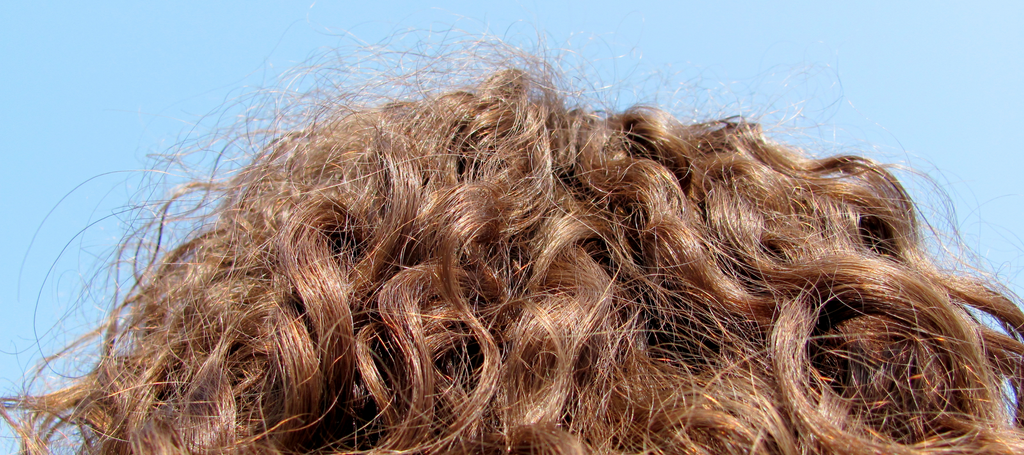 Sulphate: The Silent Curl Killer