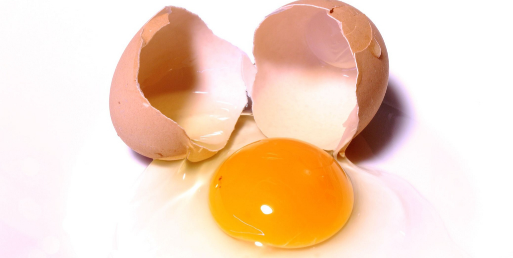 Are eggs really bad for us? - The truth about eggs + cholesterol