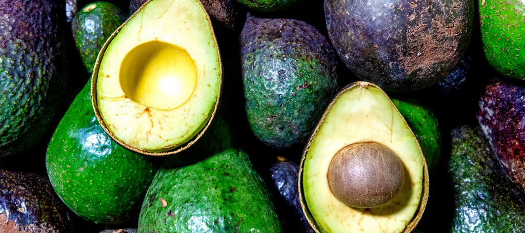 Avocados and Sustainability