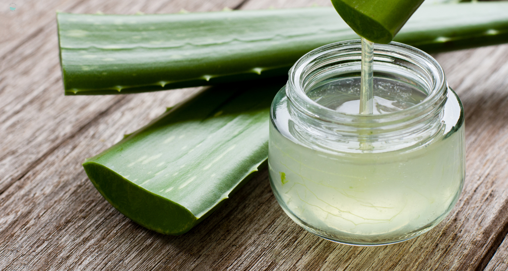 Benefits of Aloe Vera