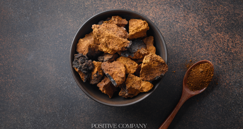 EASY Chaga Mushroom Recipe