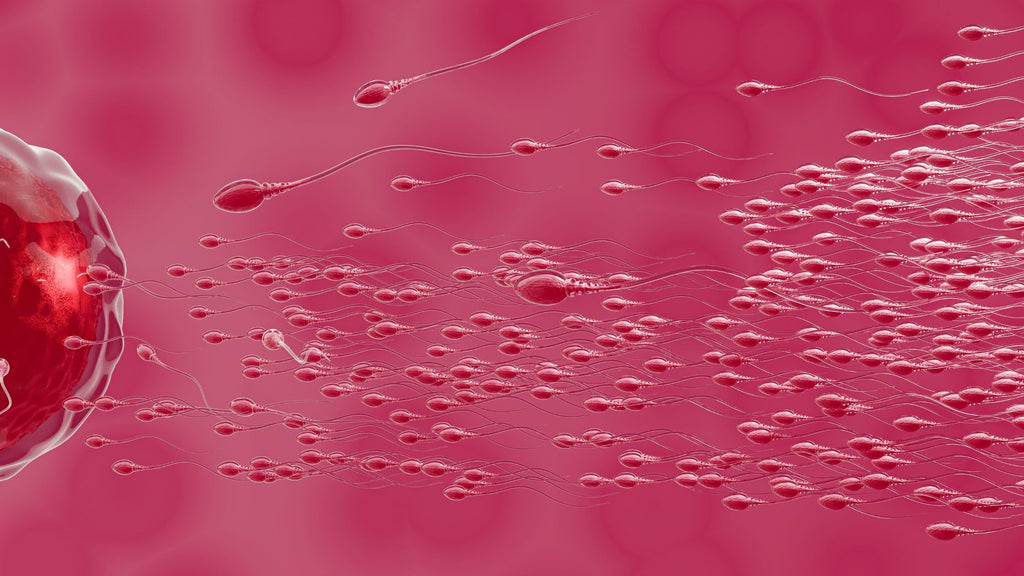 Boosting Male Fertility Naturally: Effective Sperm Boosting Remedies for Him