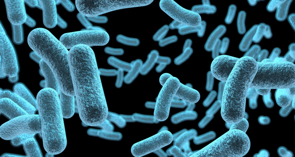 The Blue Elixir: Methylene Blue, Longevity, and the New Natural‑Health Conversation