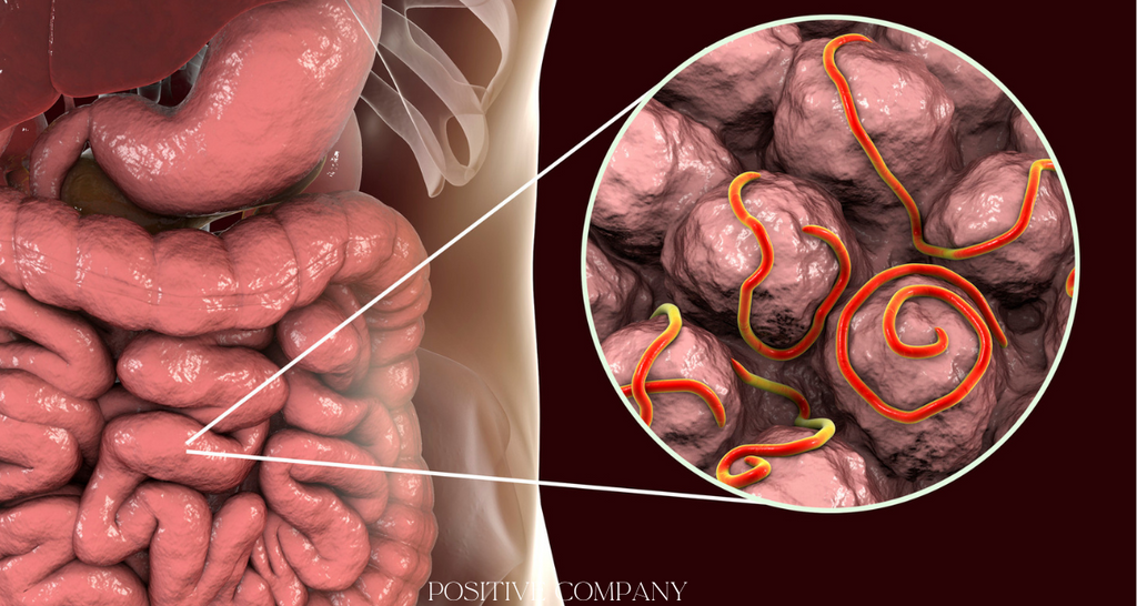 Colon cleanse vs Intestinal Cleanse