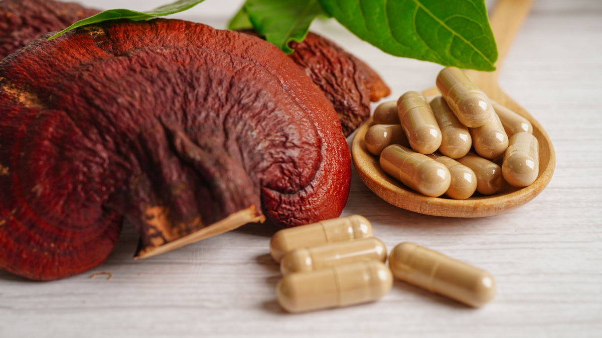 What are Reishi used for? – The Positive Company