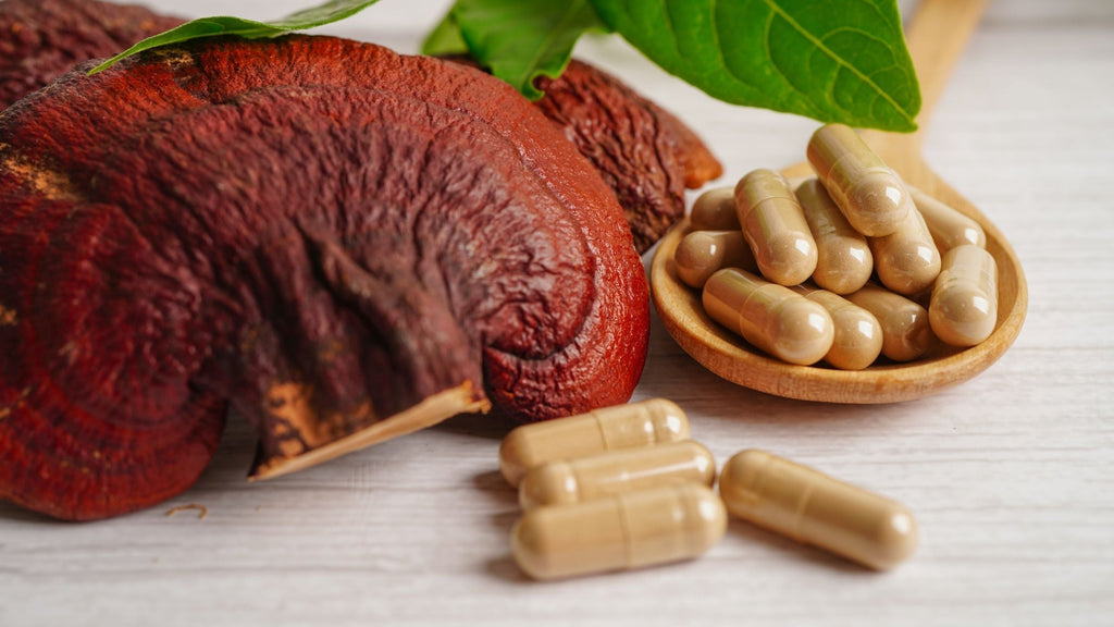 Reishi Mushrooms and Why Should You Consume Them