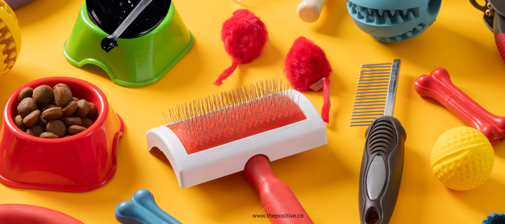 Shilajit for Pets: Natural Support for Energy, Mobility &amp; Vitality