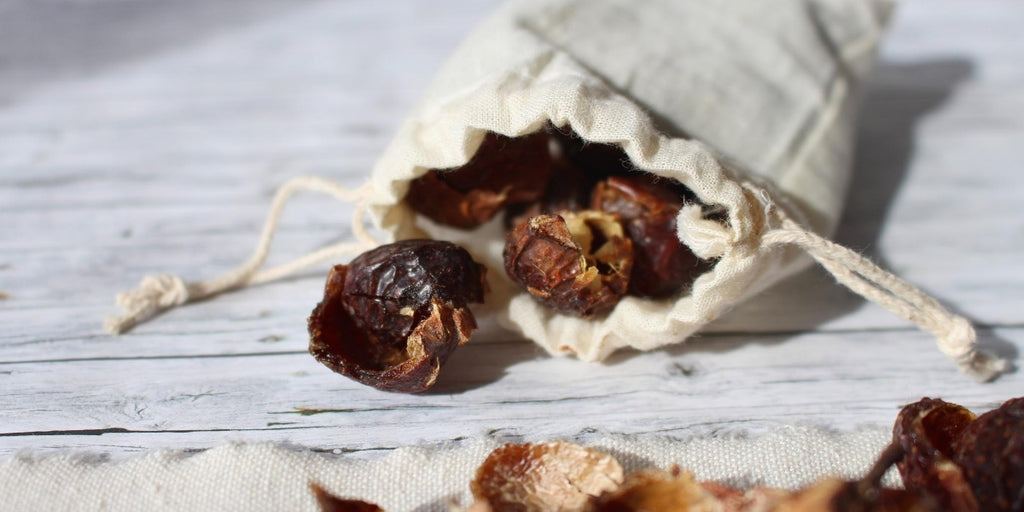 What are Soapnuts and how to use them for Natural Laundry?