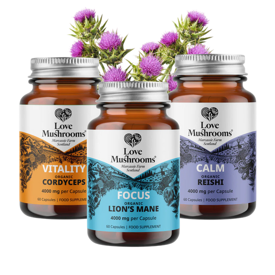 3theLove Capsules 60s Bundle