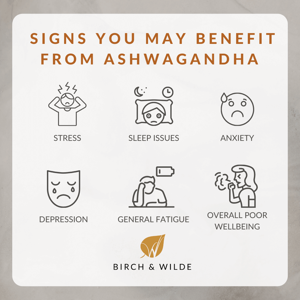 ashwagandha ksm 66