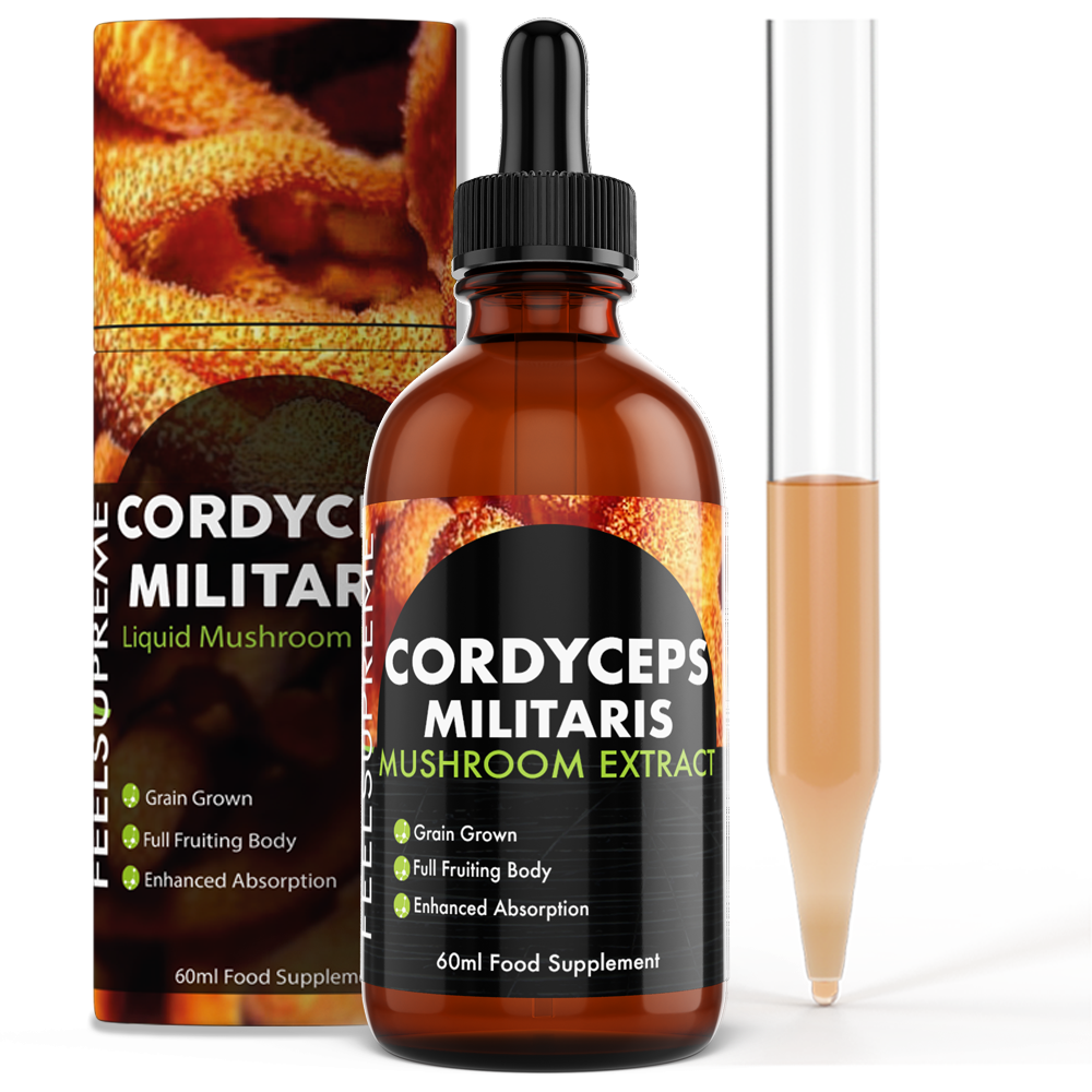 cordyceps militaris