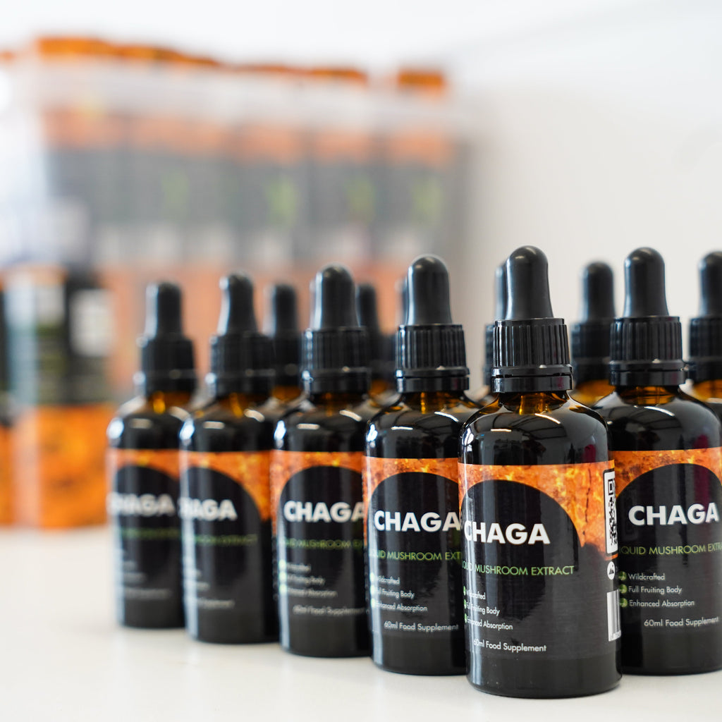 chaga extract 