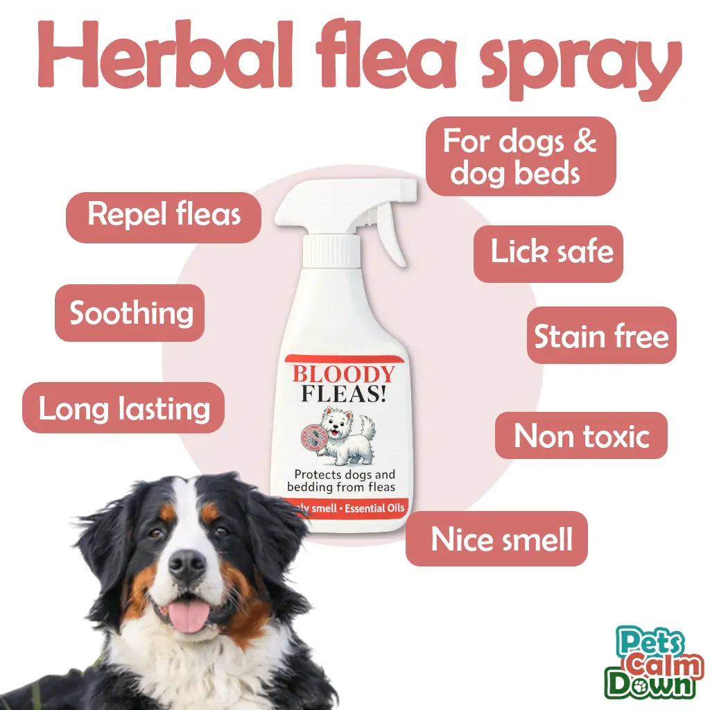 fleas repellent spray for dogs - 100 natural spray no chemicals 