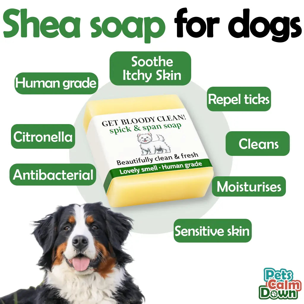 natural soap bar shampoo for dogs with neem oil - shampoo for dogs against fleas 