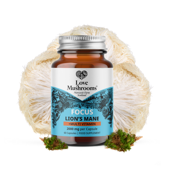 FOCUS – Lion’s Mane + Multivitamin (60 Capsules)