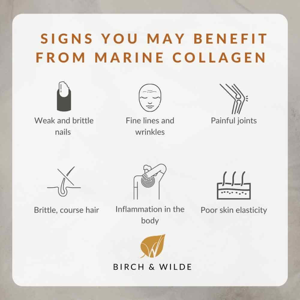marine collagen type 1