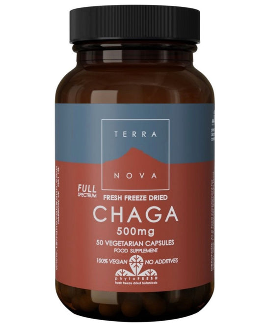 Organic Chaga Mushroom Powder