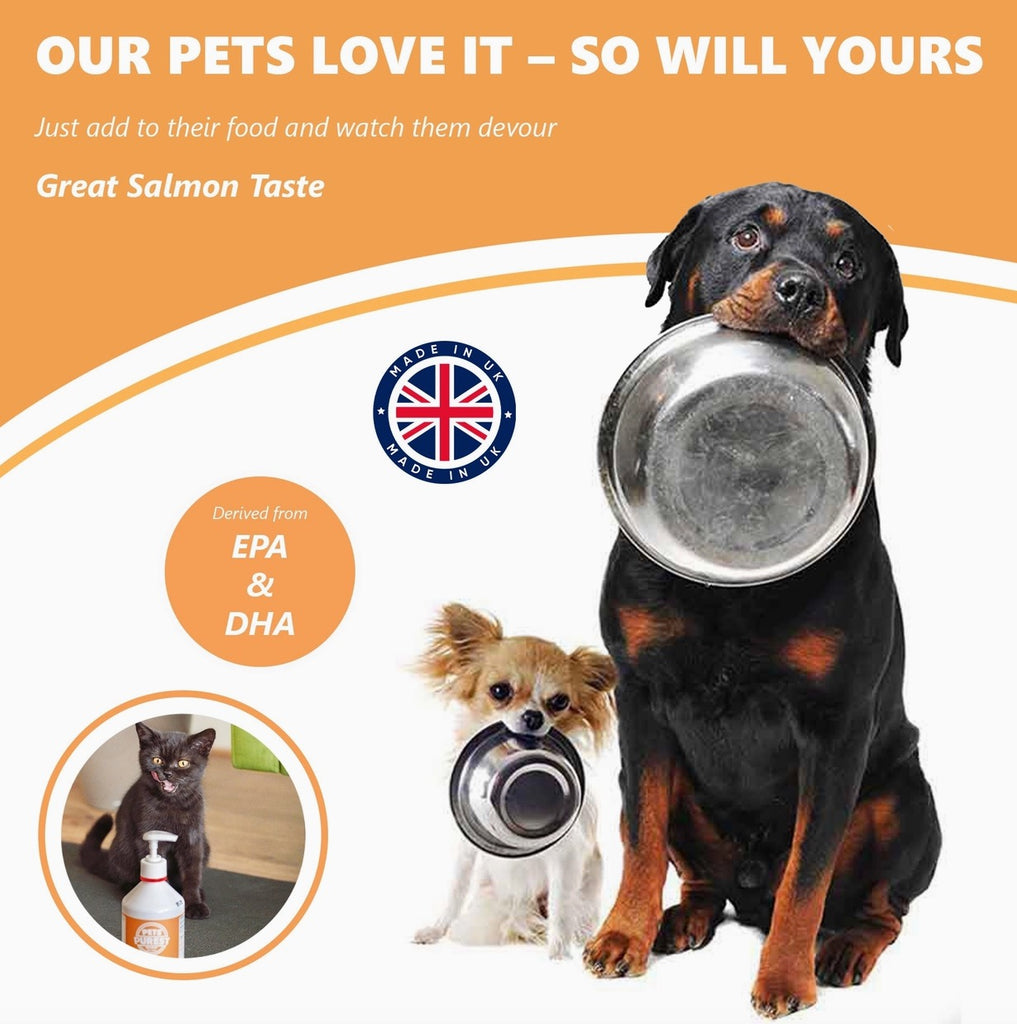 salmon oil for pets natural omega 3