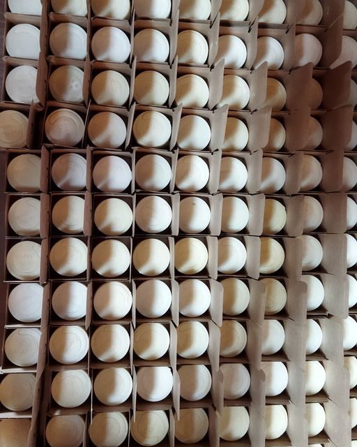 Organic Certified Balancing Solid Shampoo - Lemon & Lime - Normal & all Hair Types 60g - Earthsenseorganics