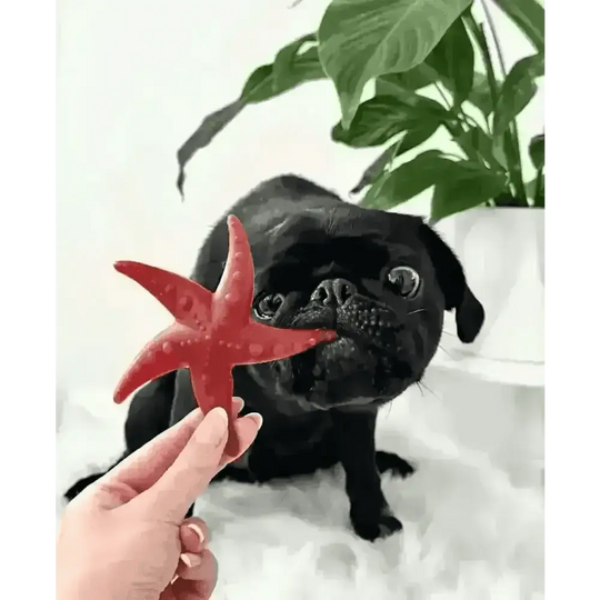 Apple & Mint Starfish