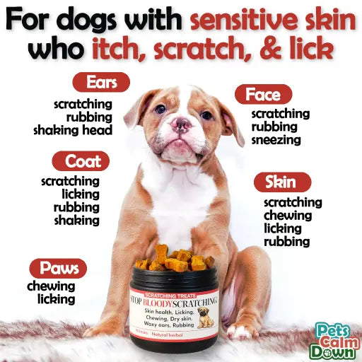 dogs supplements for healthier skin - pet supplements - treat for dogs to stop scratching