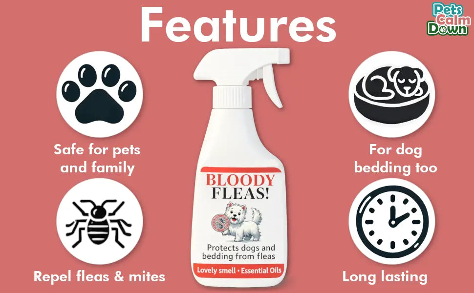 fleas repellent spray for dogs - 100 natural spray no chemicals 