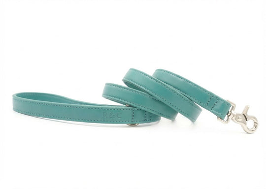 Duck Egg Blue Leather Dog Lead