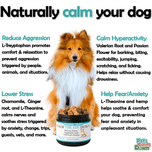 supplements for dogs - Calming dog treats and supplements for barking, stress, anxiety (natural herbal). Calm your dog down with natural herbal ingredients! No GMOs, chemicals, wheat, corn, soy.