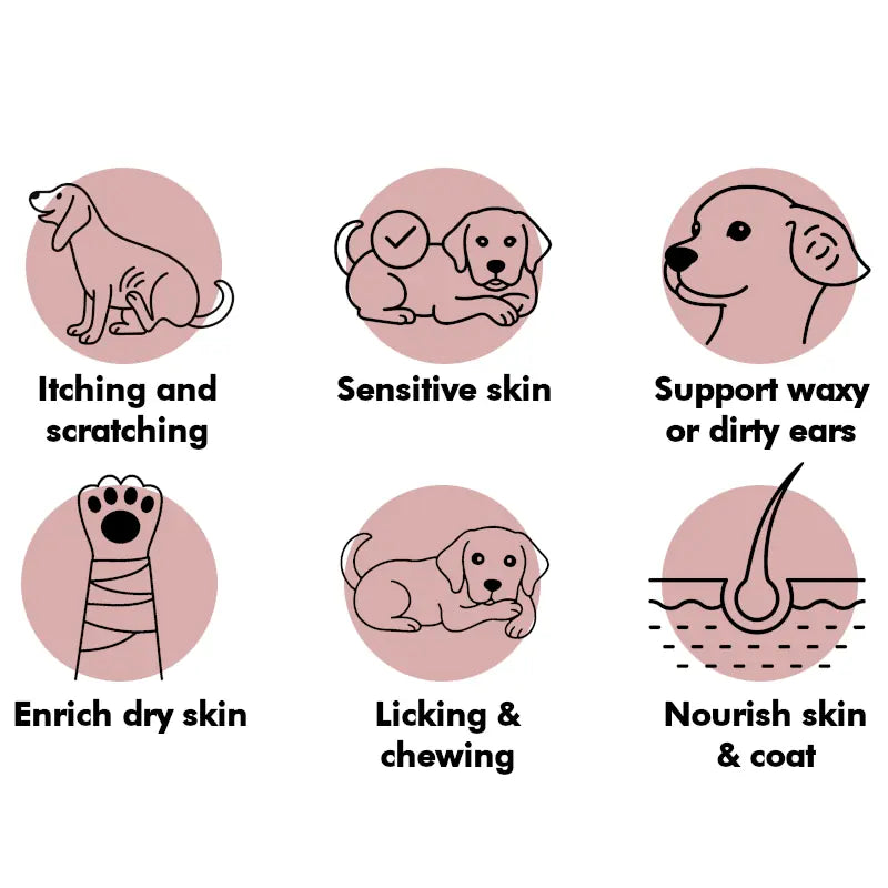 pet supplements - treat for dogs to stop scratching