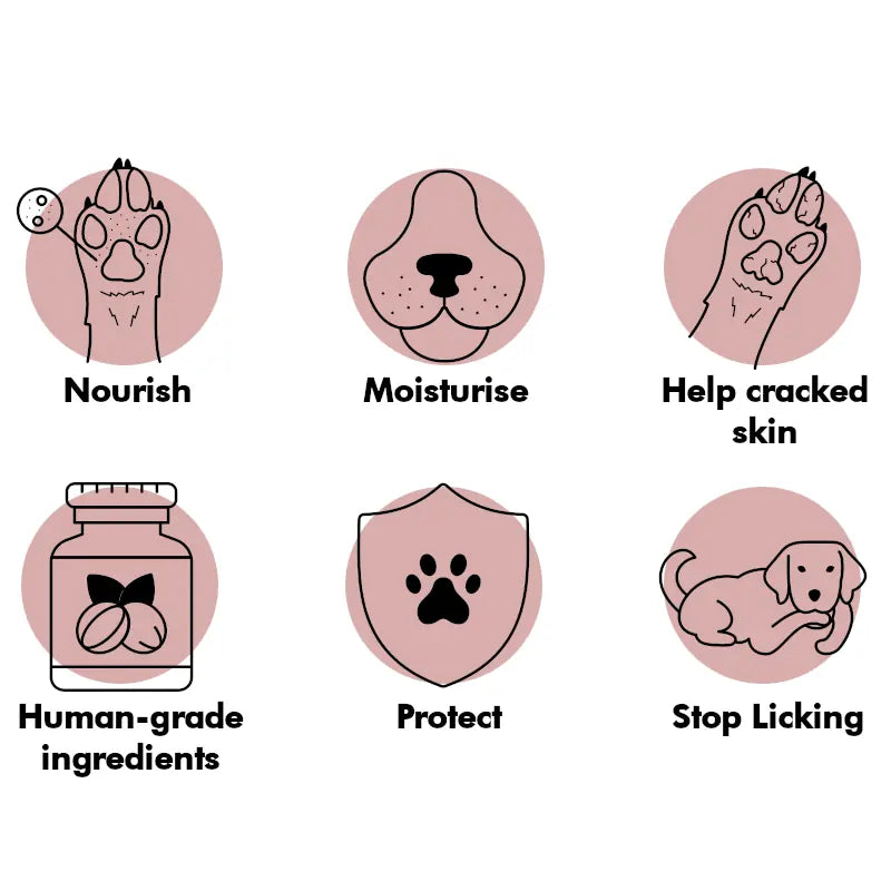 Paw Nose Balm for Dogs.
100% Natural Anti-Inflammatory Moisturiser beeswax for Paws