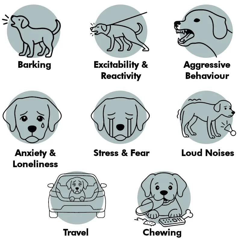 supplements for dogs - Calming dog treats and supplements for barking, stress, anxiety (natural herbal). Calm your dog down with natural herbal ingredients! No GMOs, chemicals, wheat, corn, soy.