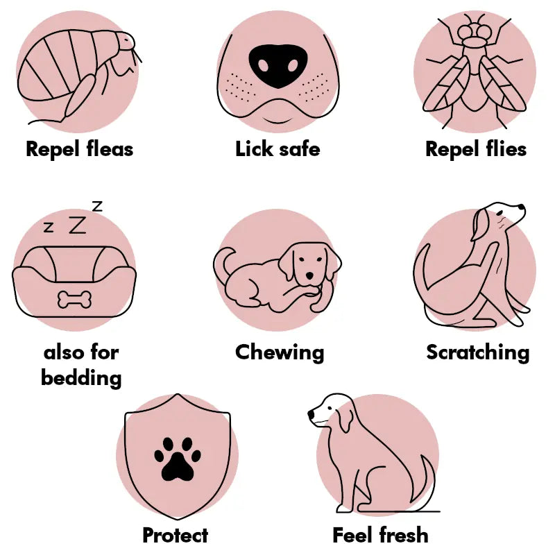 fleas repellent spray for dogs - 100 natural spray no chemicals 