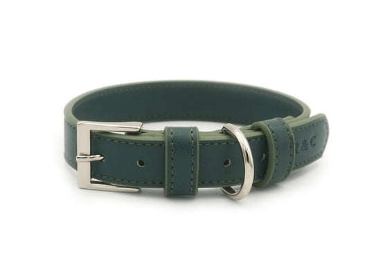 Green Leather Dog Collar