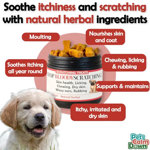 dogs supplements for healthier skin - pet supplements - treat for dogs to stop scratching