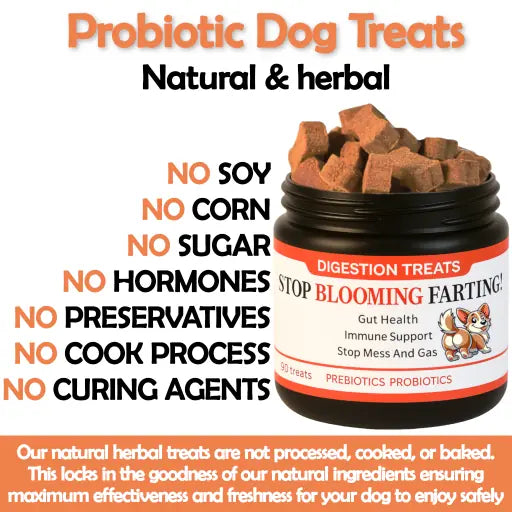 digestive supplements for dogs - Probiotic support for gut health, digestion and immunity in dogs and puppies. Buy dog probiotic tablets to support digestion, bloating, and stomach upset.