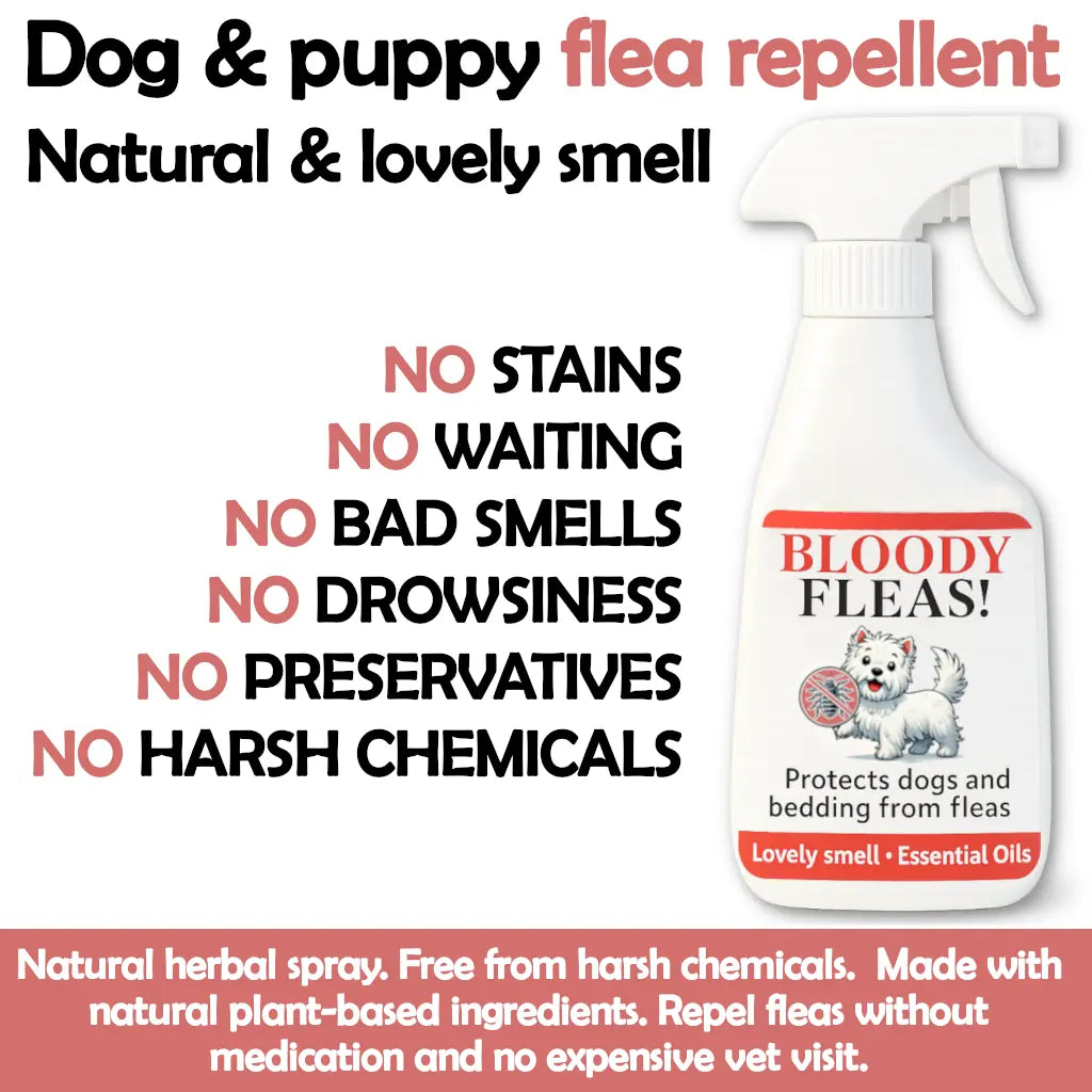 fleas repellent spray for dogs - 100 natural spray no chemicals 
