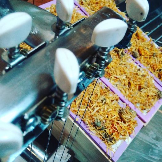 Organic Certified Balancing Solid Shampoo - Lemon & Lime - Normal & all Hair Types 60g - Earthsenseorganics