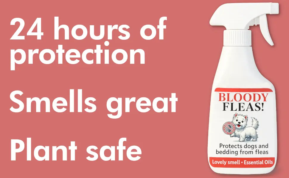 fleas repellent spray for dogs - 100 natural spray no chemicals 
