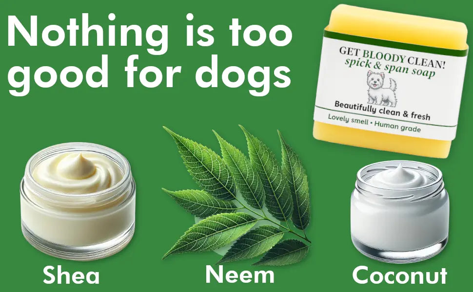 natural soap bar shampoo for dogs with neem oil - shampoo for dogs against fleas 