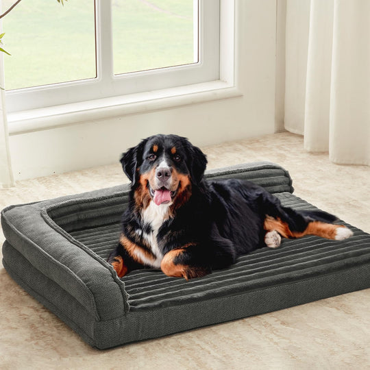 WINDRACING Orthopedic XXL Dog Bed 46x30 – Egg Foam, Waterproof, Non-Slip