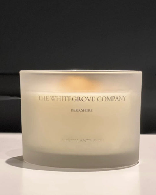 Positive Energy Citrine and Rose Quartz